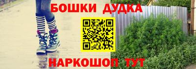 прущие грибы Краснознаменск