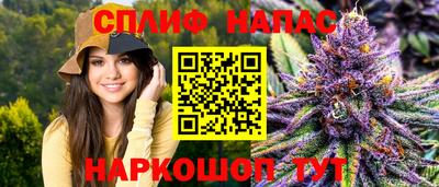 прущие грибы Краснознаменск