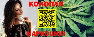 прущие грибы Краснознаменск