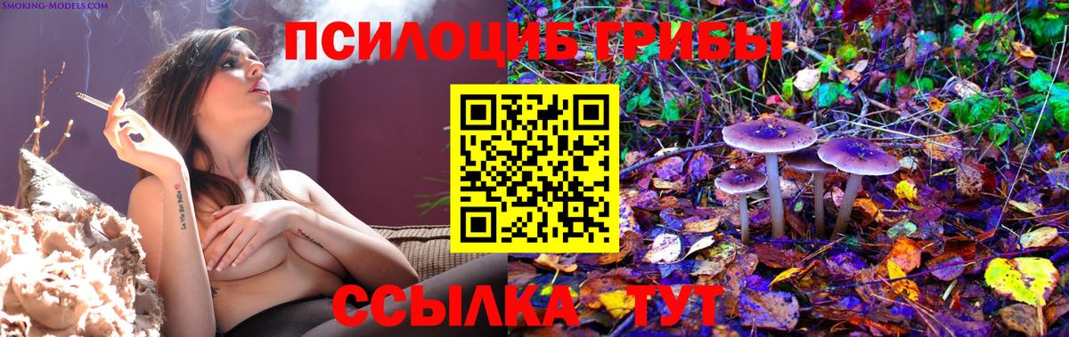 Псилоцибиновые грибы Psilocybine cubensis  Вход с VPN  Когалым 